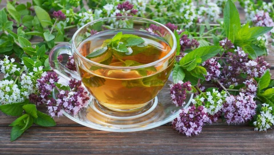 ��� ��������� ��������� ����� ��� ���: ������� ������ ��� ������ �������