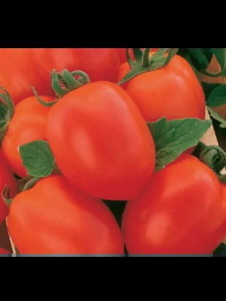 ����� ����: ��������� ������� ��� ��������� ������