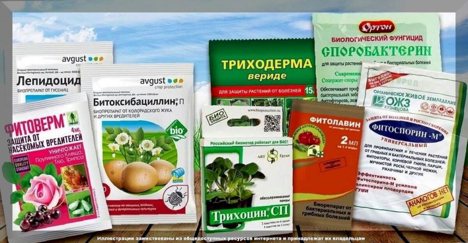 ������������: ��������� ������ ������������� � ���������������� ������