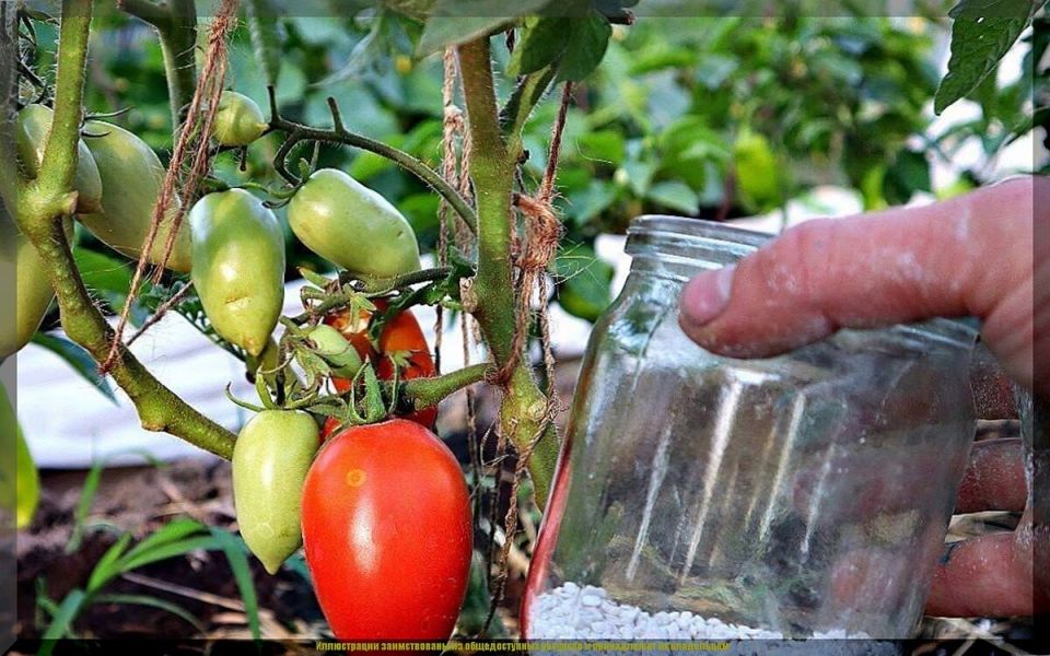 �� ������� ������ �����: 5 ������� ������, ����� ����� ���� ������� � ���������