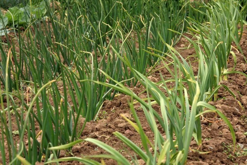 ��� ��������� ������ ��� � ���� ��� �������� ������ ������