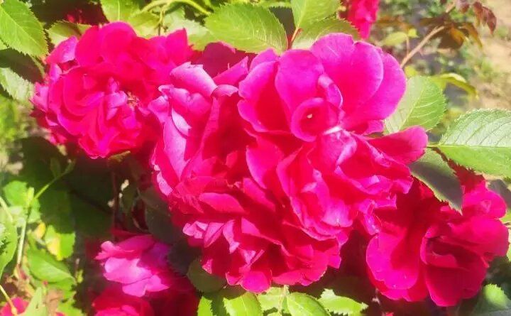 ��� ��������� ��� � ������� ������� ��� ��� ��������