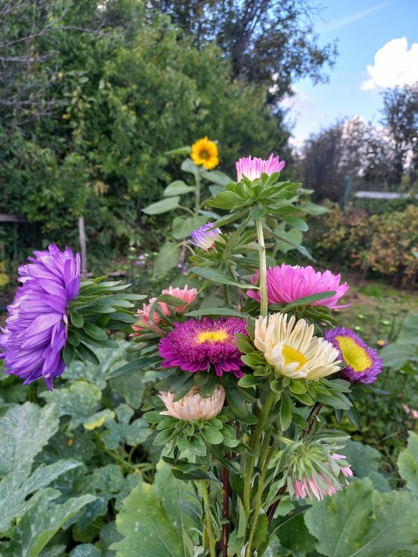 �������� ������� ���������: ��� ������� ������� ������ �������