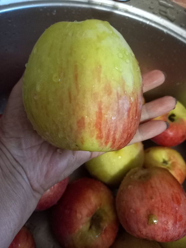 ������ �������� �������� ��� ������: �������� ��������� ��� ����