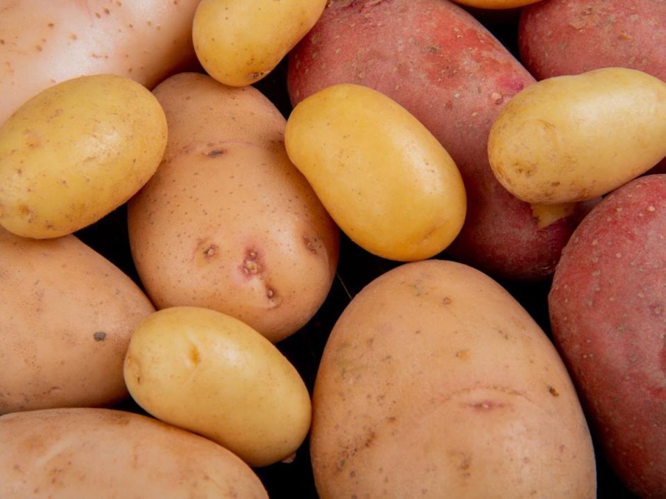 ��� ��������� 10 �� �������� � ������ �����: ������, � ������� ������