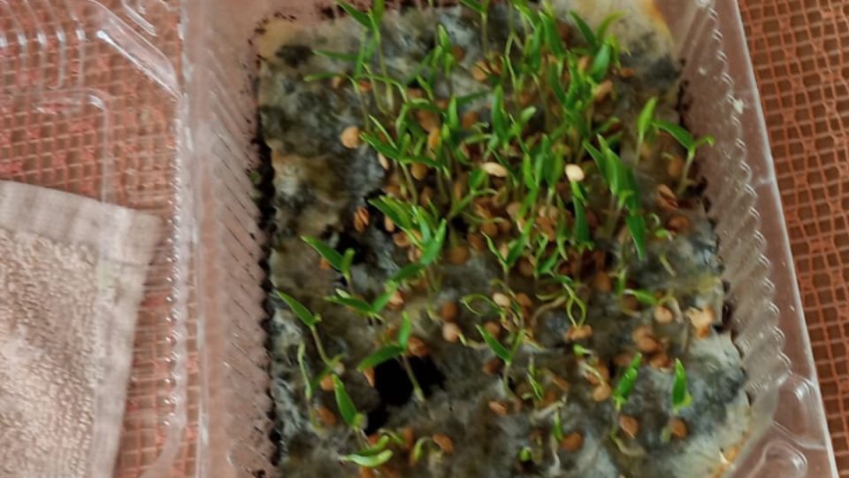 ������� �������� ������� �������: ��� ������� �� 9 �� � �����