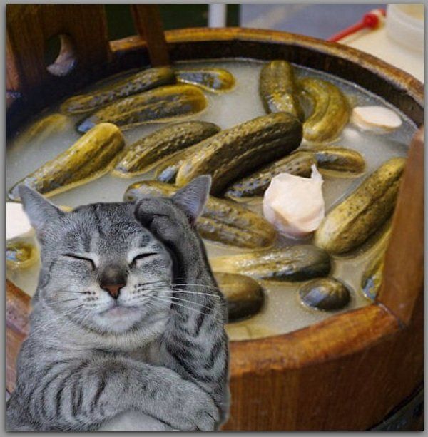 ��� ������ ���������� � ���������: ������ �� ������ ������