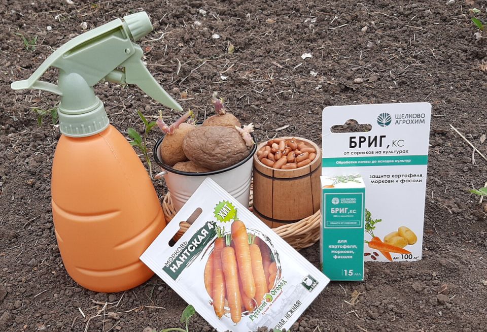 ��� ���������� ��������� ������� �� ������� ��� ������ ������