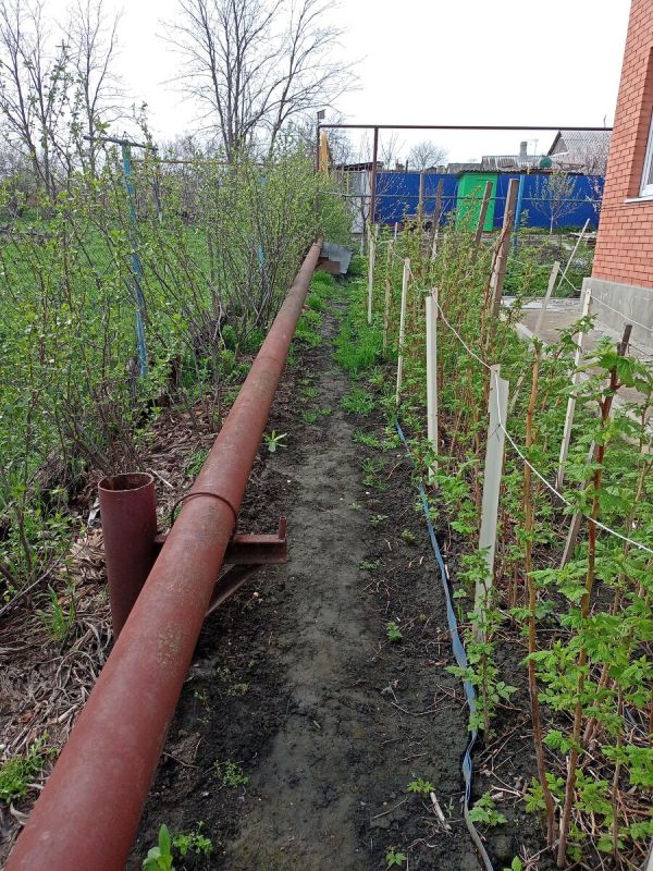 ���� ��� ������� �������: ��� ������� ������ � ��������