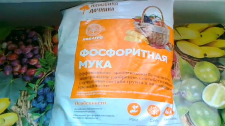 Как проверить почву на кислотность и избежать ненужных расходов на удобрения