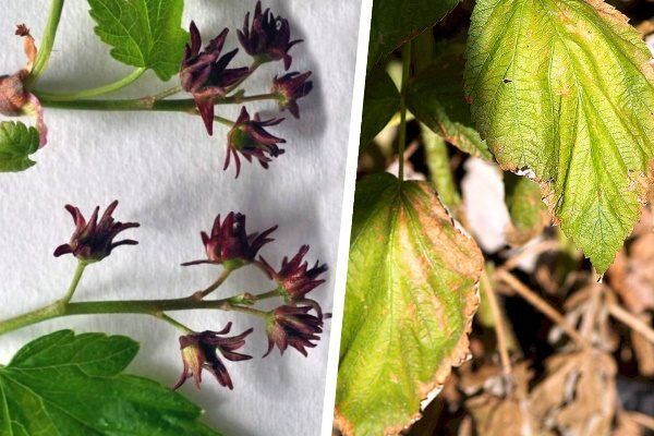 ������ ������ ��������� ������� � ��� � ���� ��������