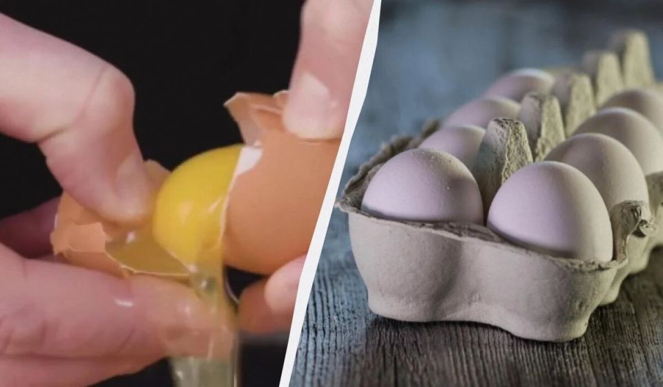 ��� ������� ���� ��� ������: ������ �� �������������