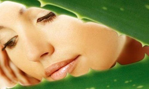 Как создать увлажняющие маски для лица из подручных средств